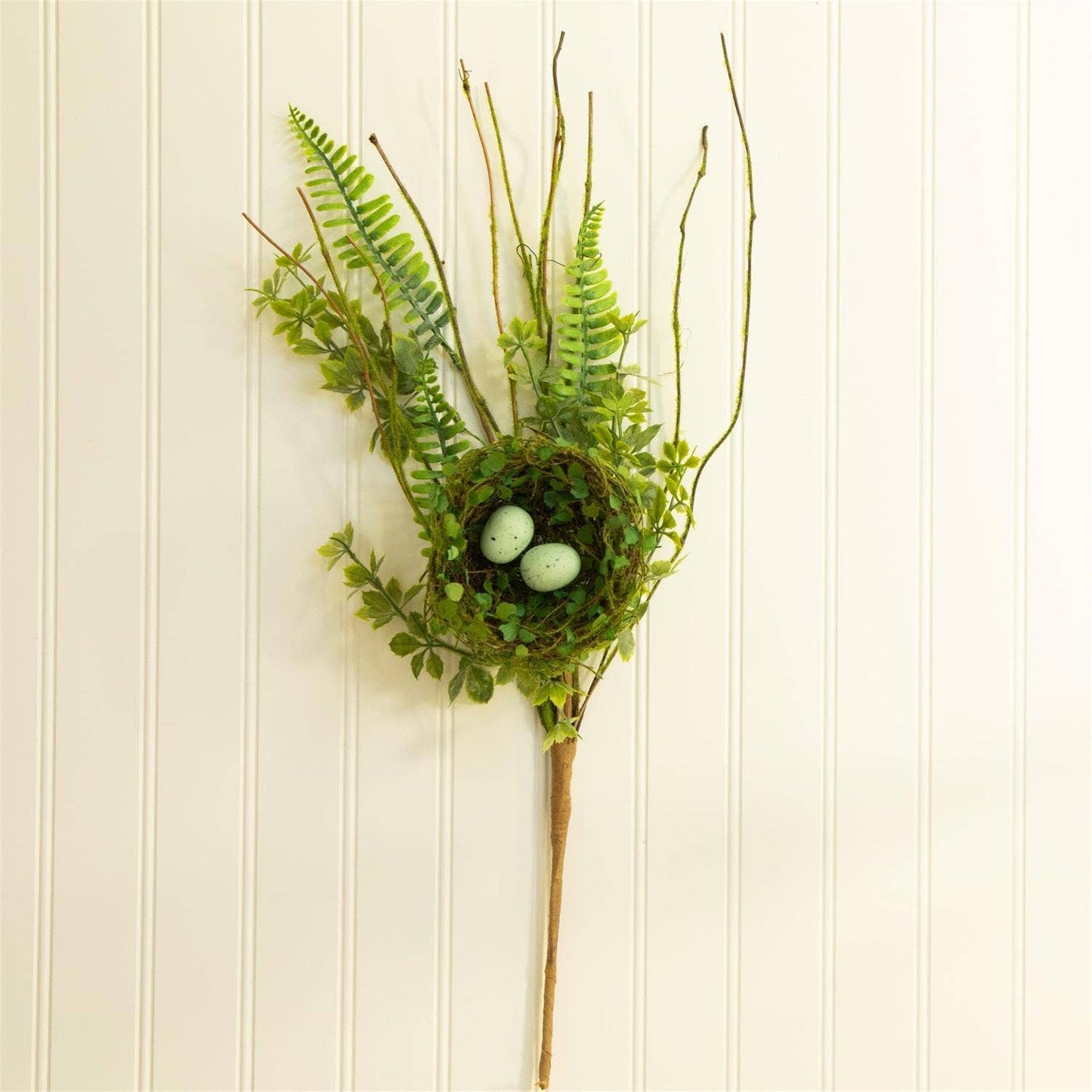 Ferns With Bird Nest