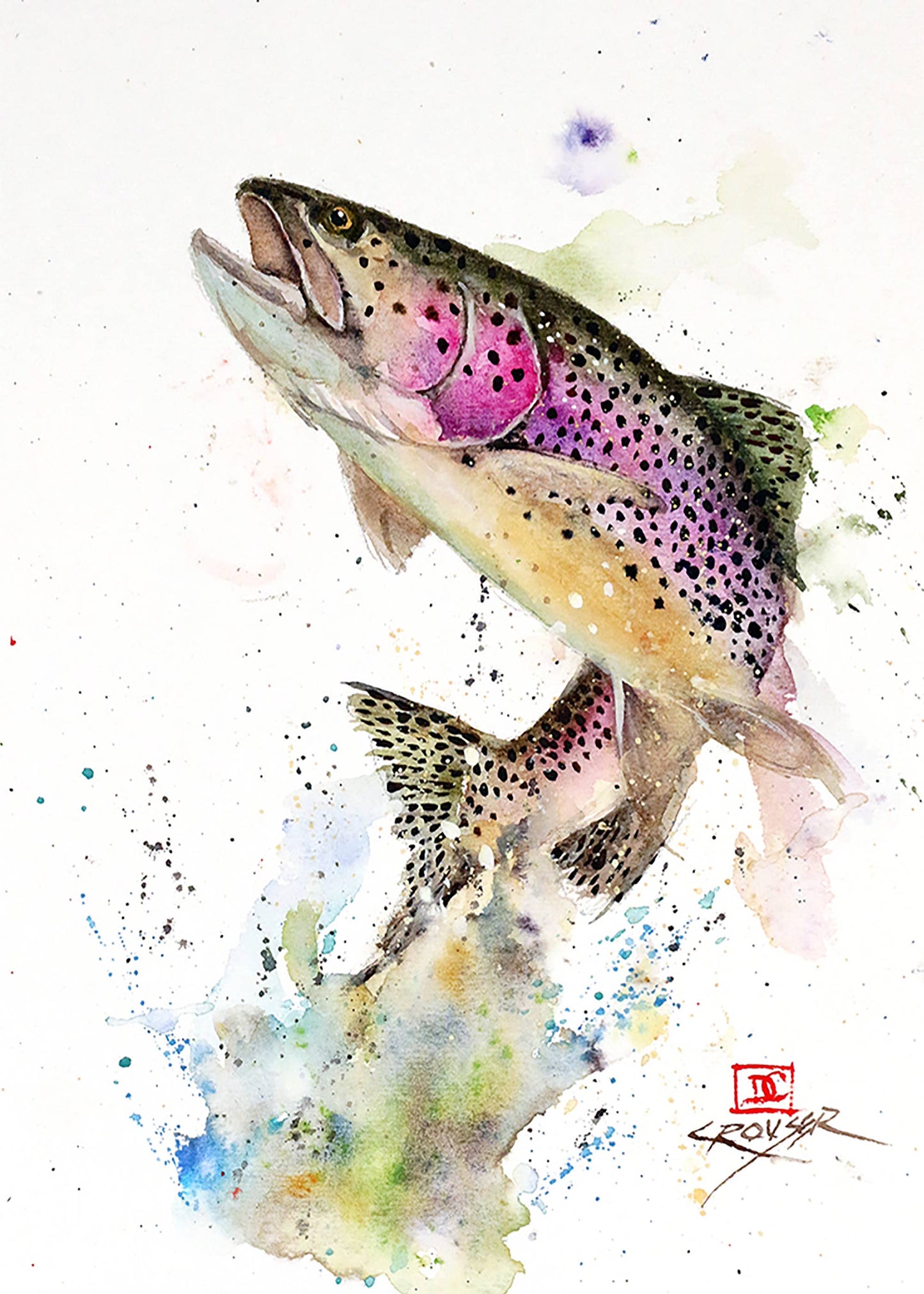 5 x 7" Greeting Card 'JUMPING RAINBOW'