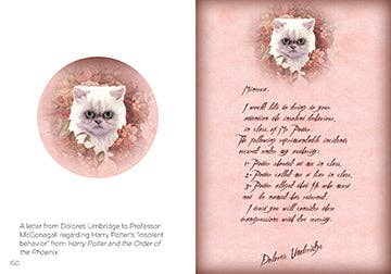 The Art of Harry Potter (Mini Book)