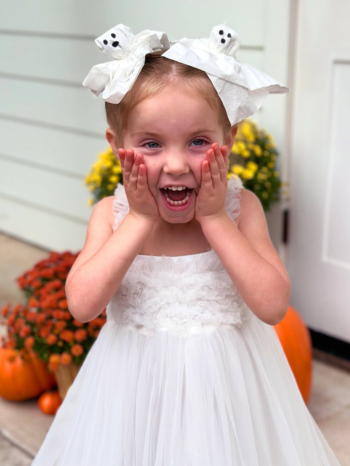 Girls White Tulle Empire Waist Princess Petti Dress