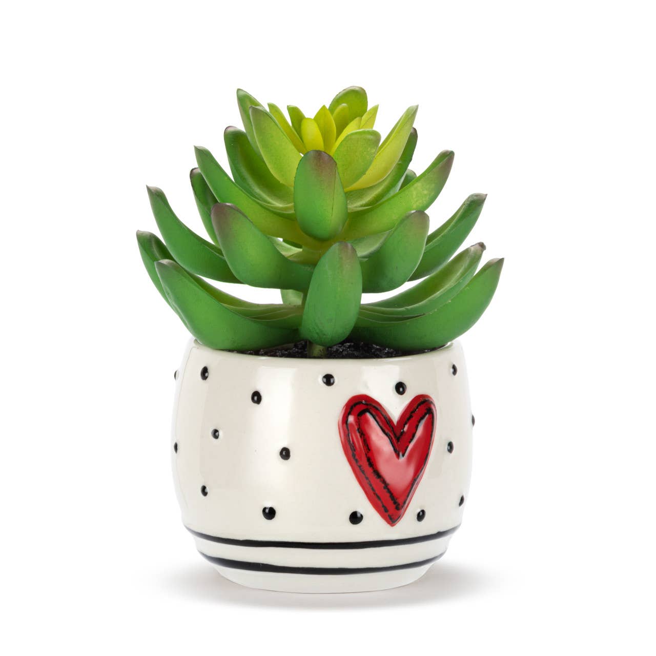 Mini Succulent Heart & Dots