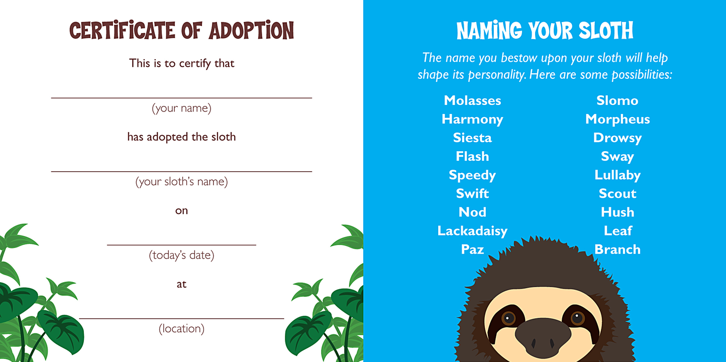 Hug a Sloth Kit