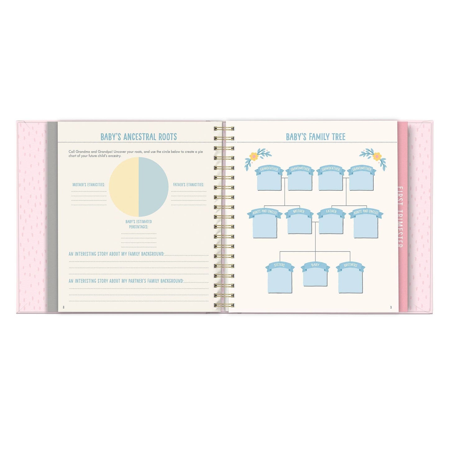 Bump for Joy: A Pregnancy Journal (Pink)