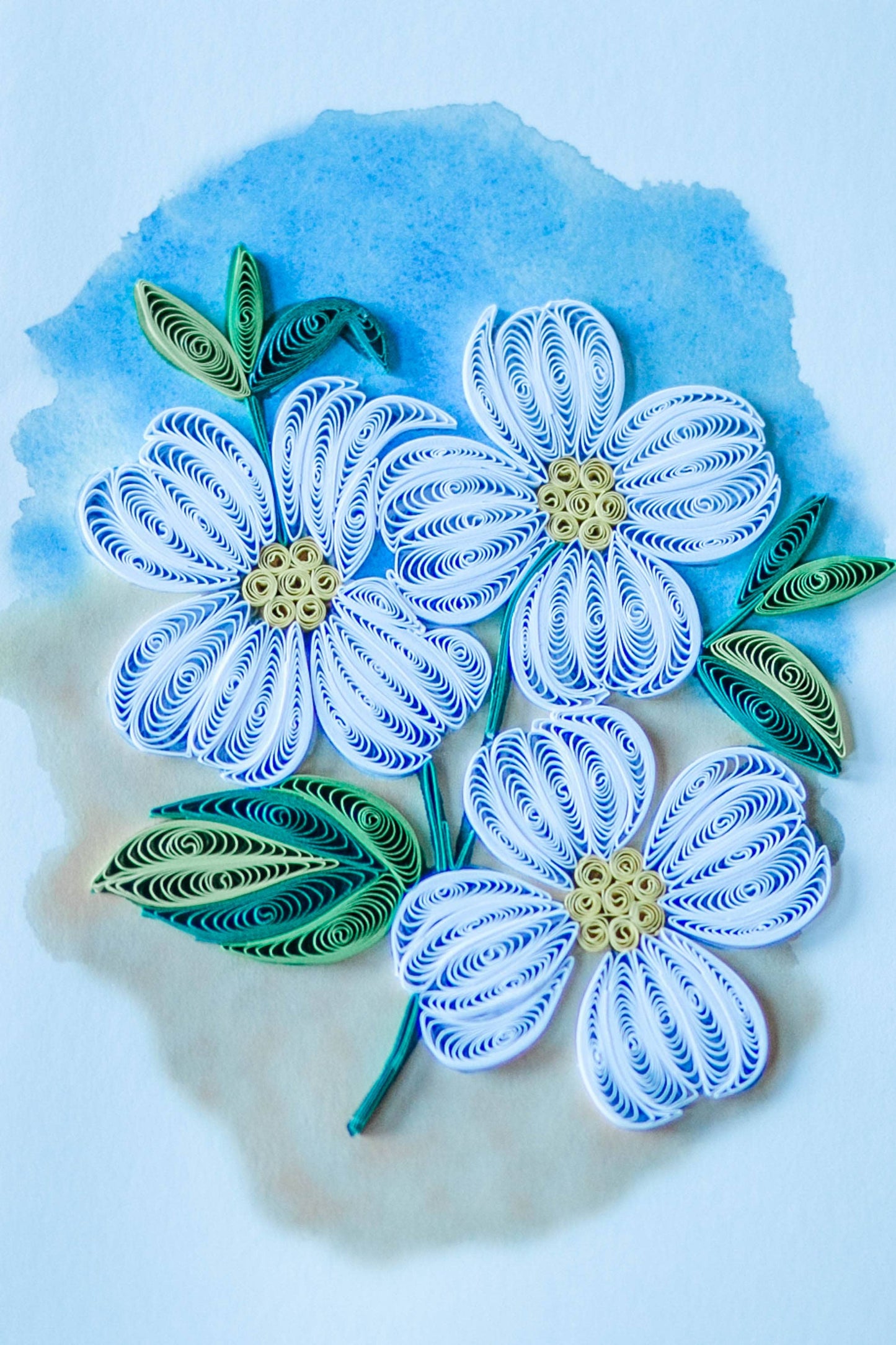 Dogwood Blossoms