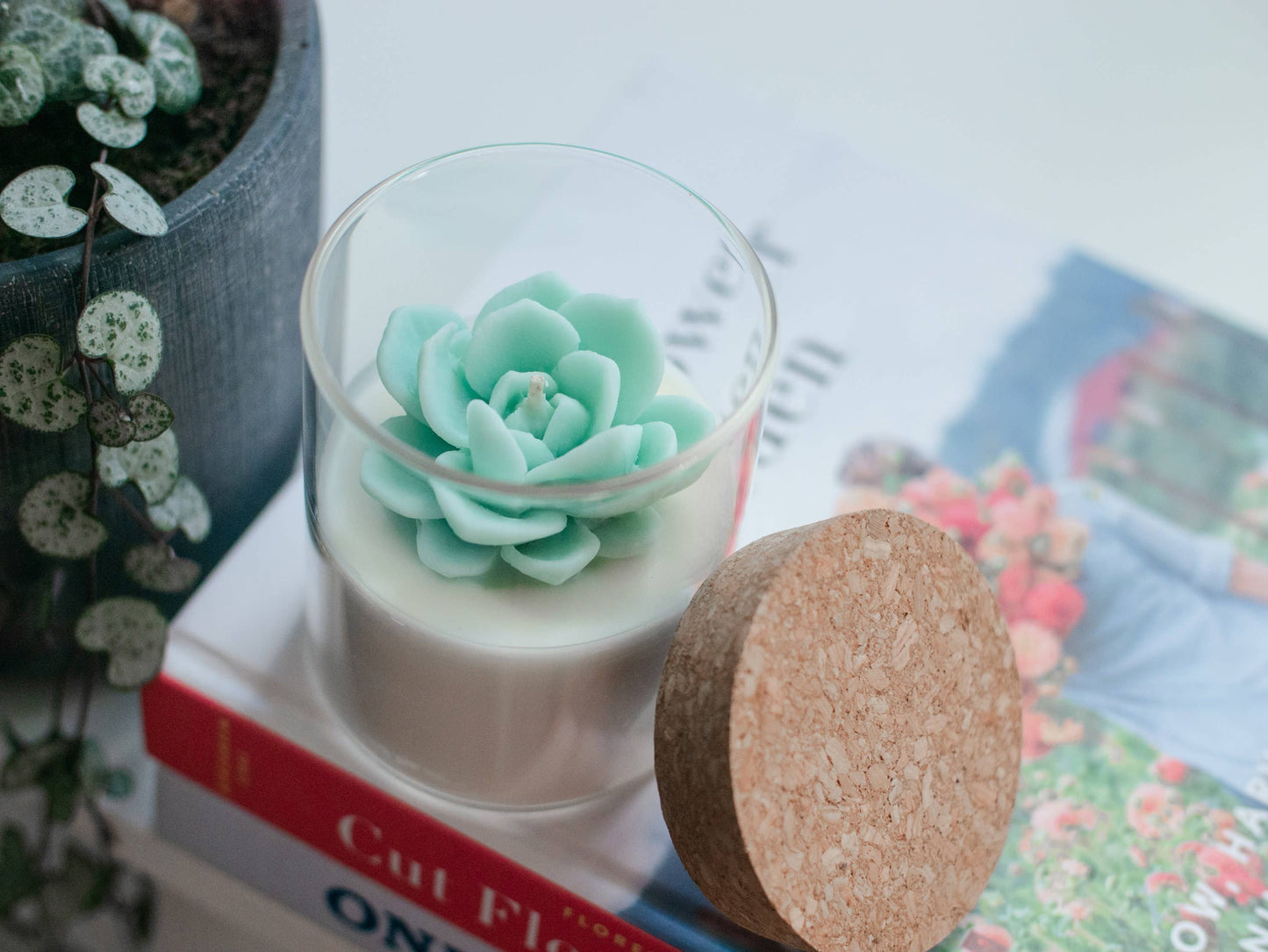 Succulent Soy Candle | Soy Blend