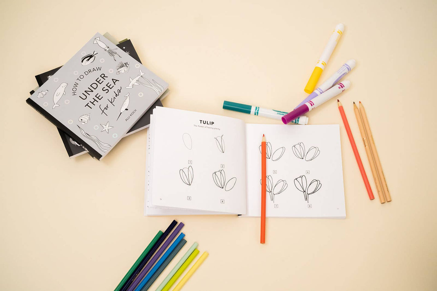 How to Draw So Many Things: A Mini Box Set of 5
