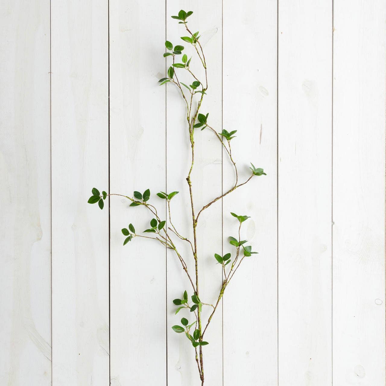 Branch - Lemon Leaf, 48"