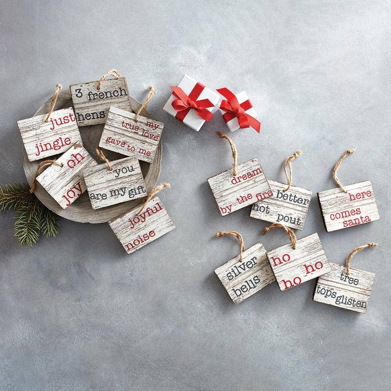 My True Love Gave To Me Orn