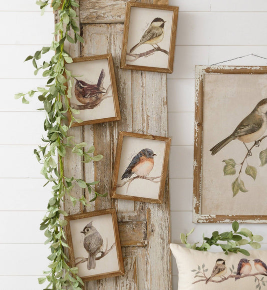 Framed Print - Birds