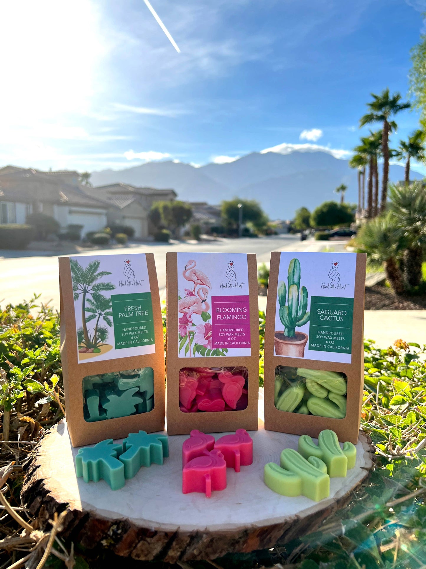 Palm Tree Soy Wax Melts