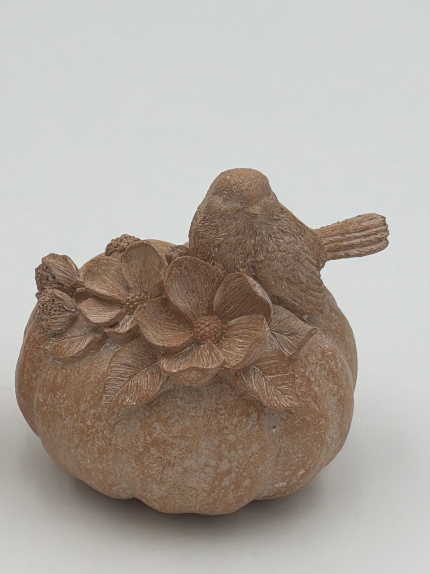 Bird on Pumpkin