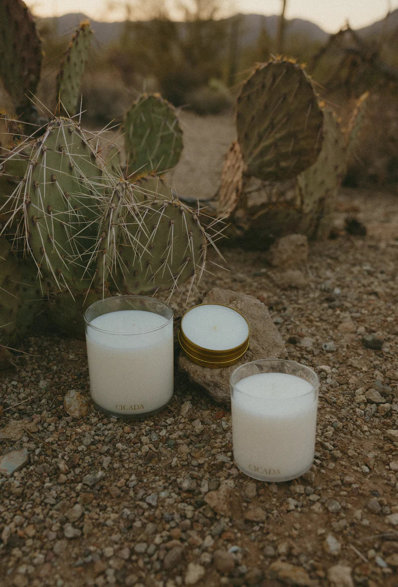 The Scent of Summer Storms Desert Rain