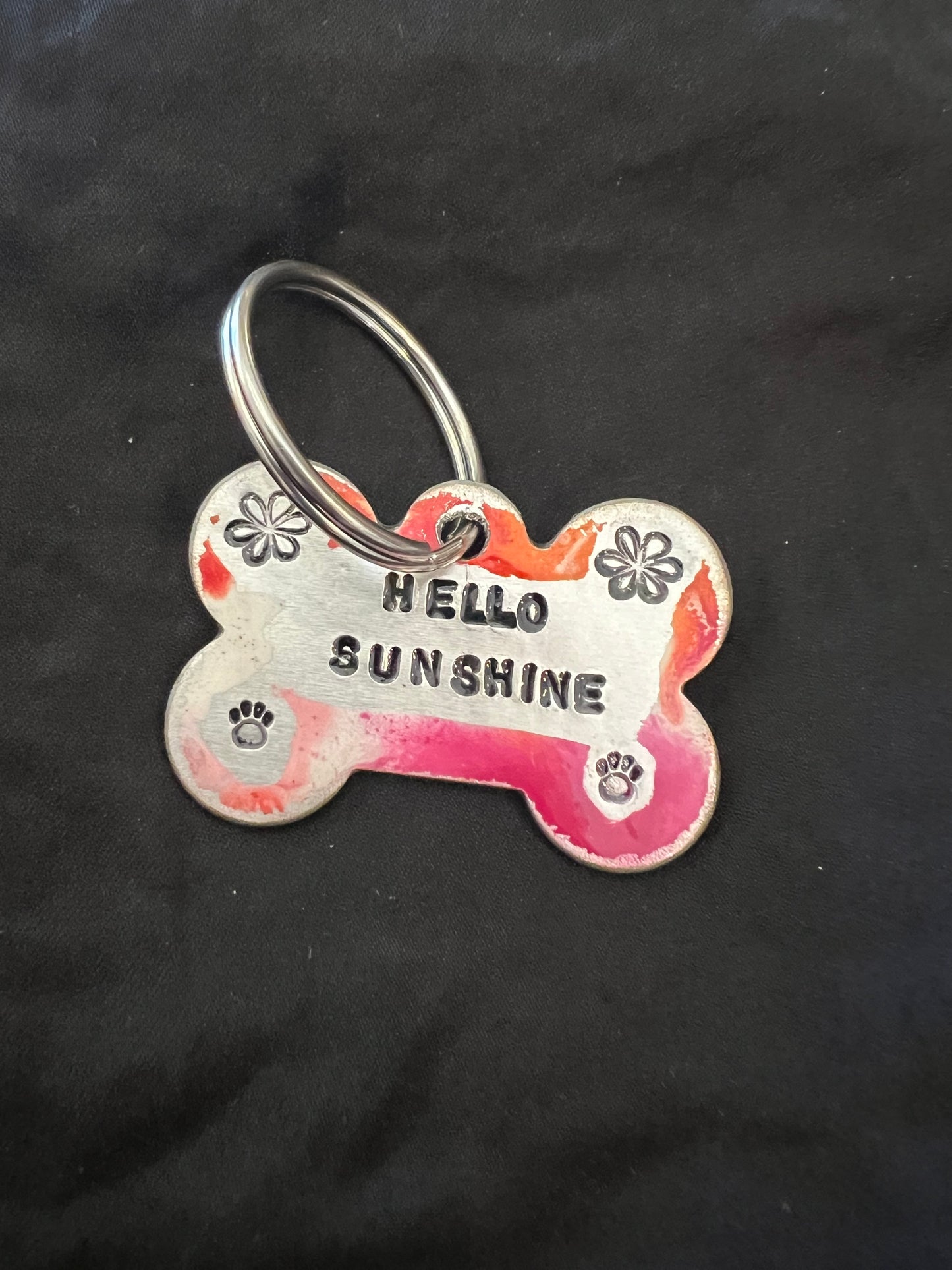 PetTag LD: Hola, Sol.