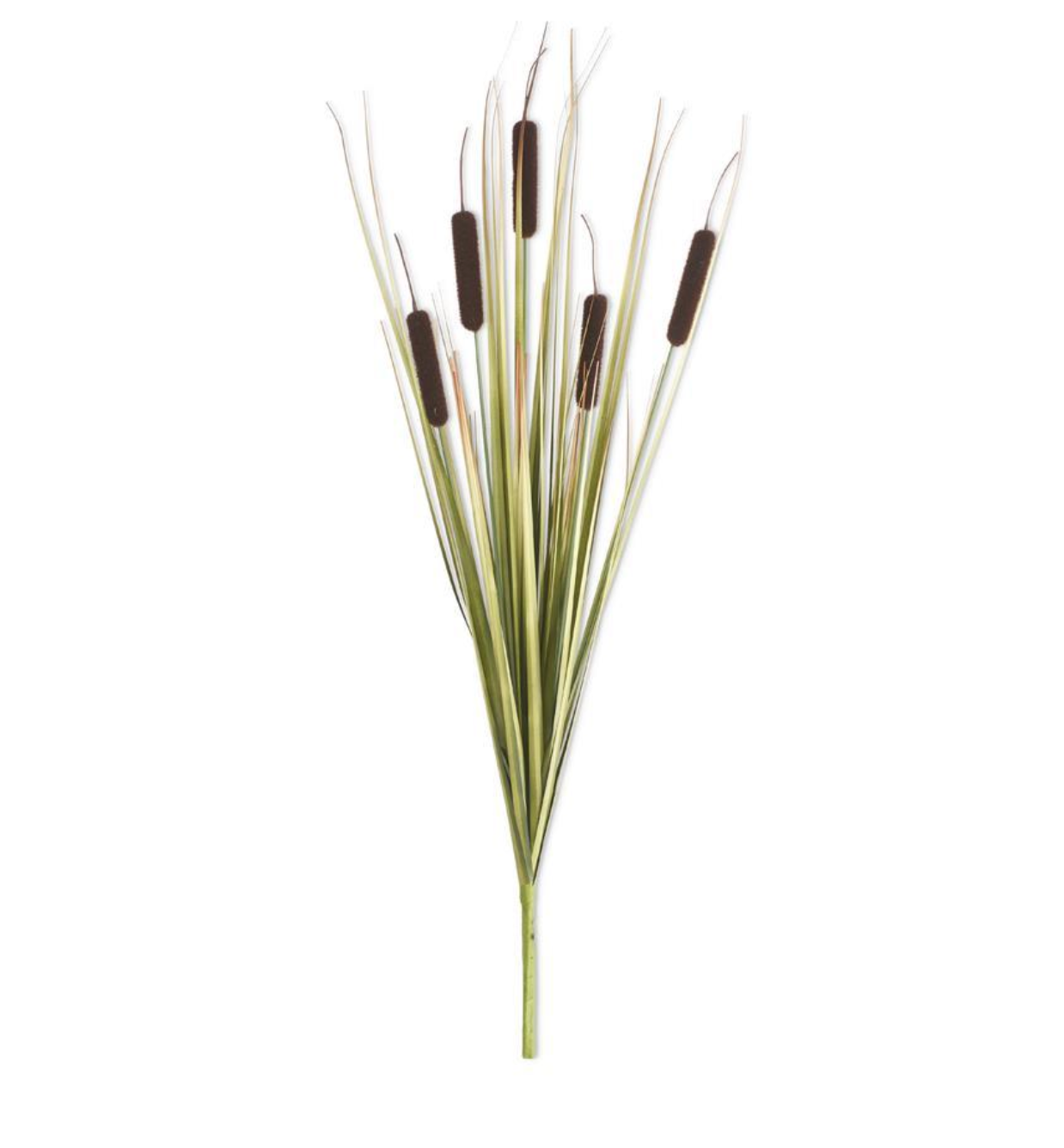 Tallo de espadaña de 5 cabezas, color marrón oscuro, de 25 pulgadas