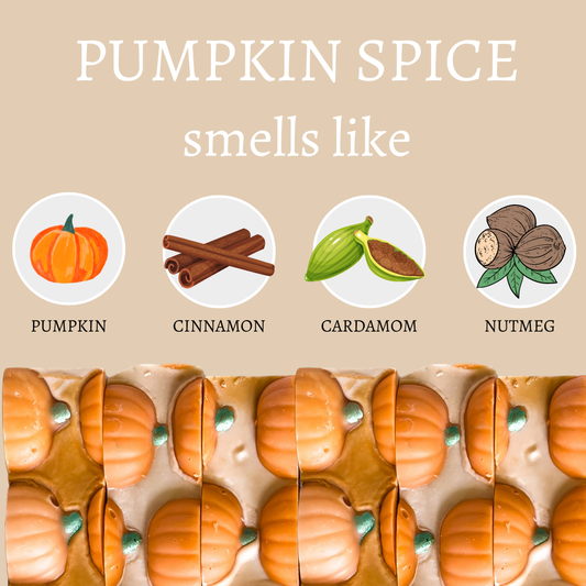 Pumpkin Spice Fall Handmade Bar Soap - 4oz