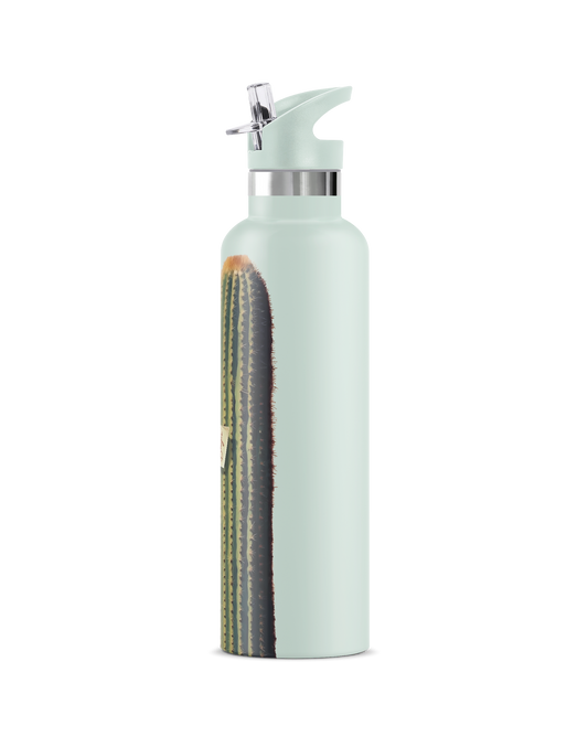 Bandit | Vintage Pin-Up Bandit Insulated Water Bottle 25 oz
