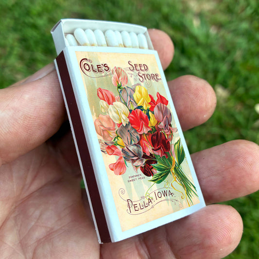 Sweet Pea Flower Matches
