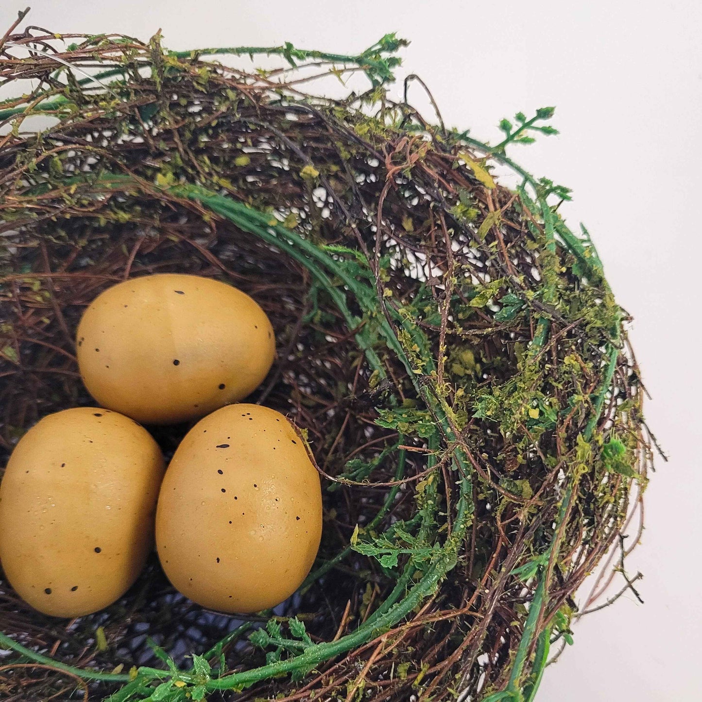 Cypress Grove Bird's Nest 6”