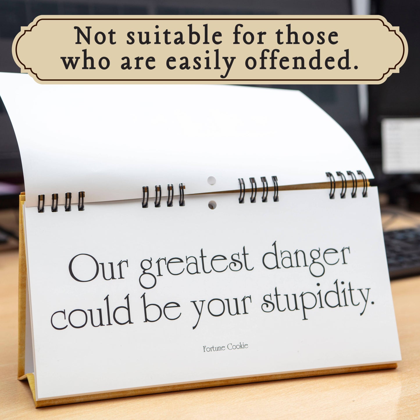 Classic Insults Flip Book - Funny Novelty Gifts
