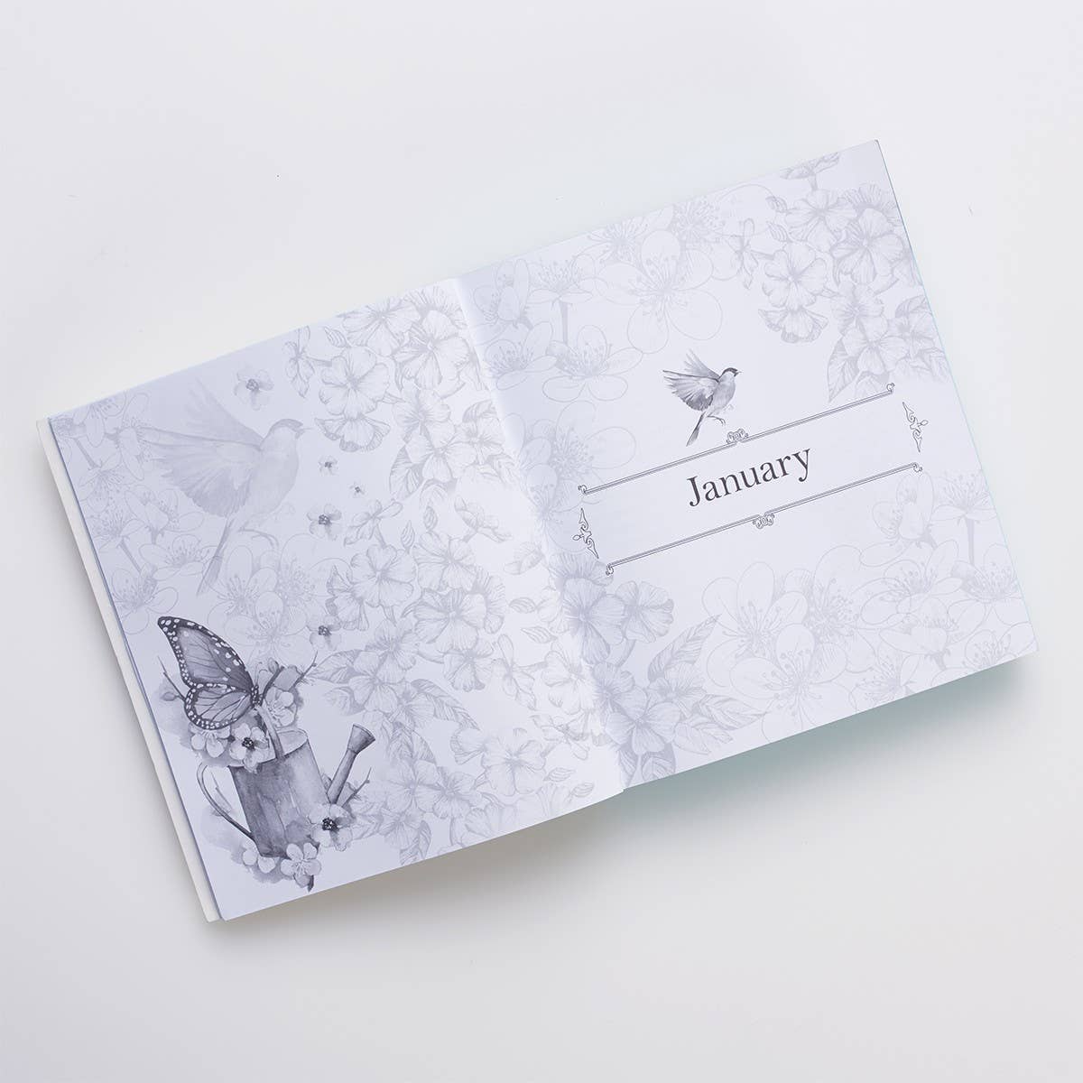 Coloring Devotional Illustrated Words Jesus for Women