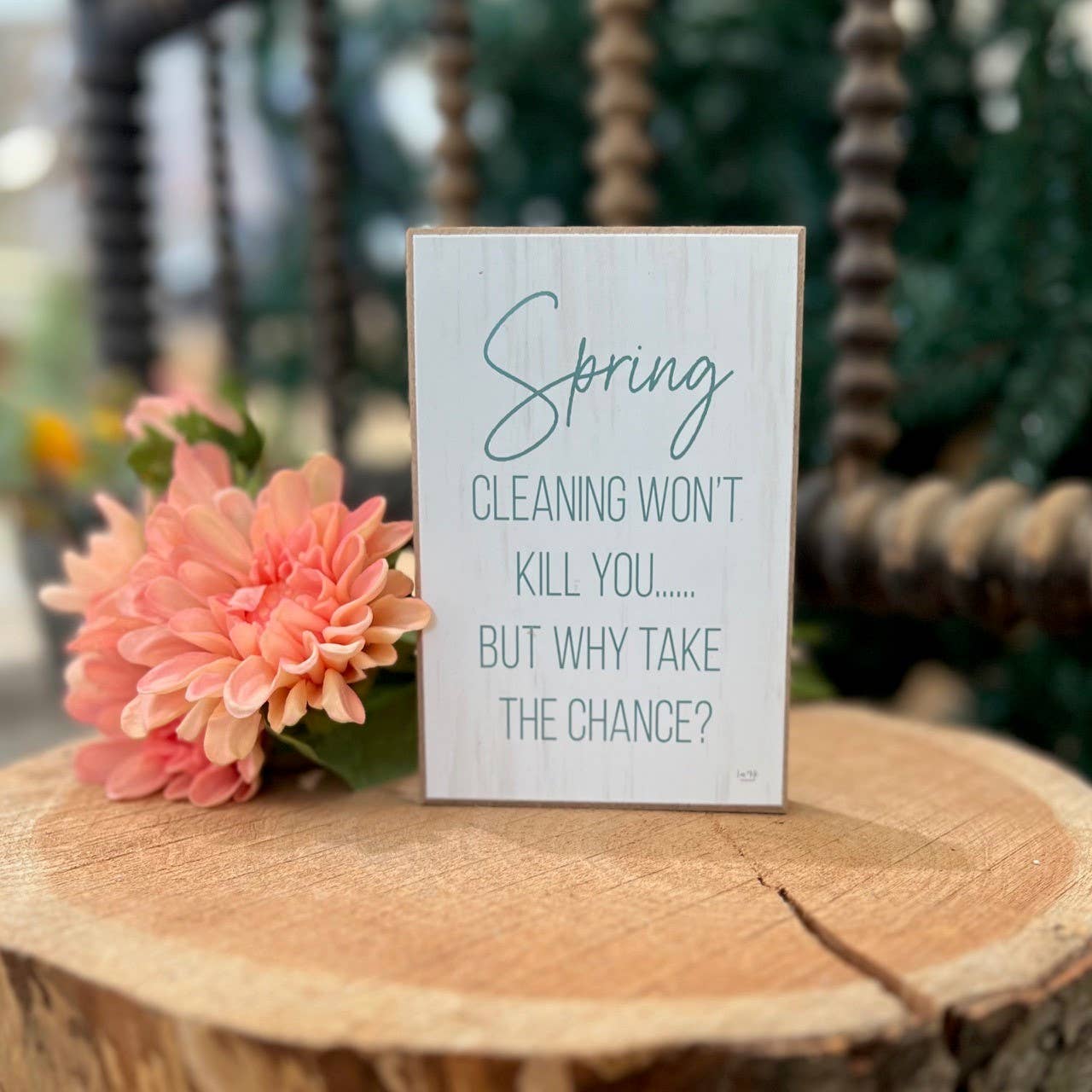 Spring Cleaning Won't Kill You Block