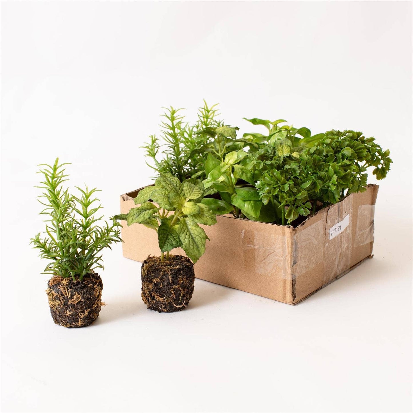 Herbs In Soil Unpotted Sold Separately