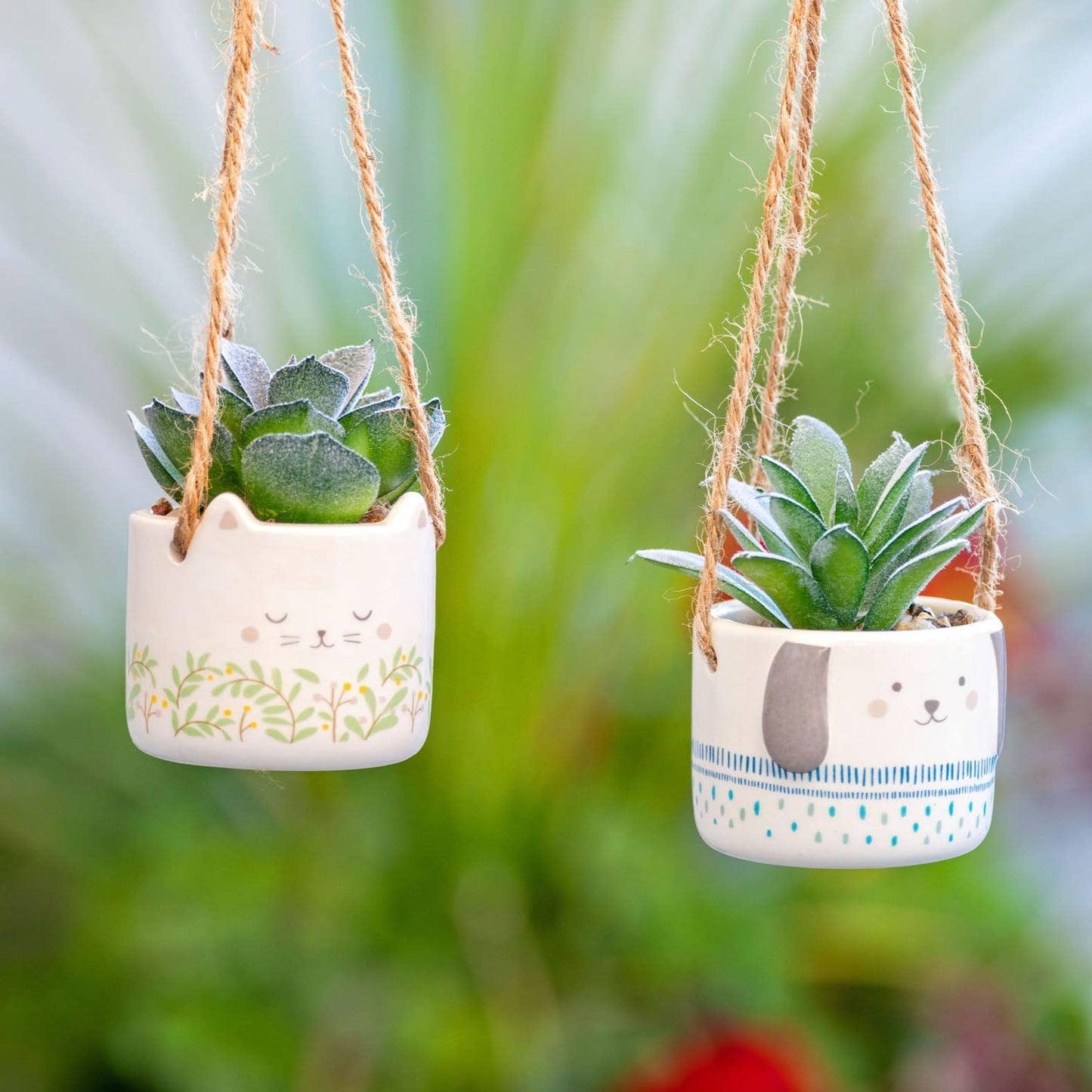Hanging Shaped Succulent Pot
