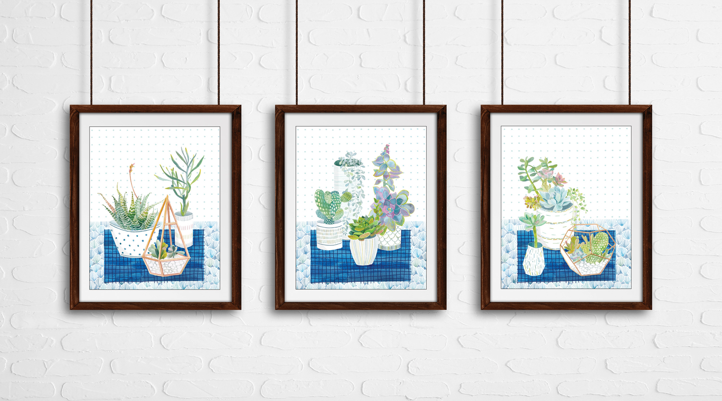 Succulents Art Prints
