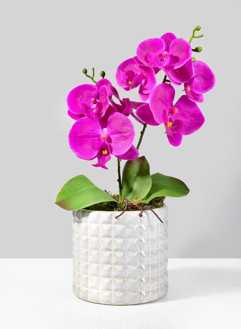 5 ¾in White Ceramic Studs Vase