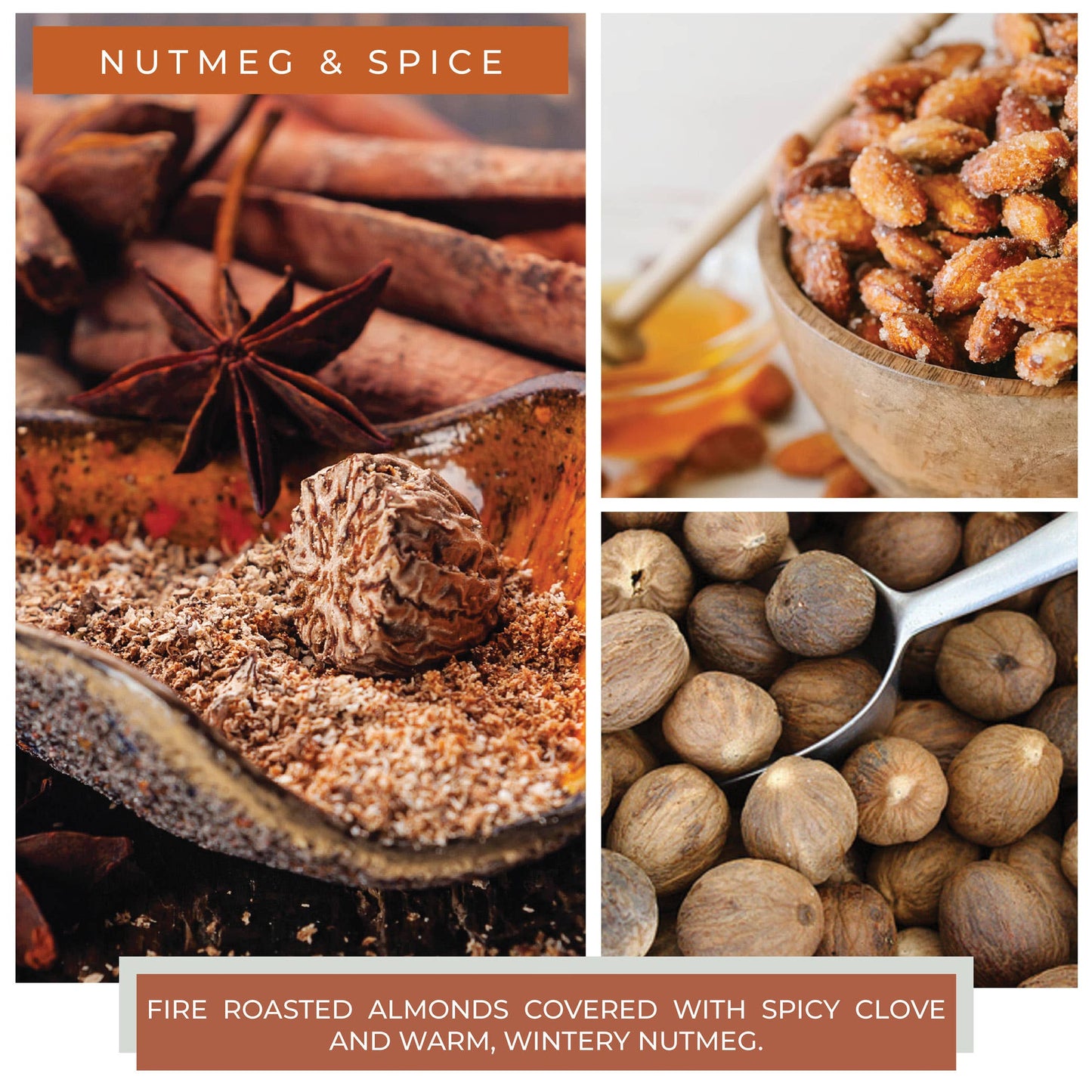 Nutmeg & Spice Candle (22oz.)