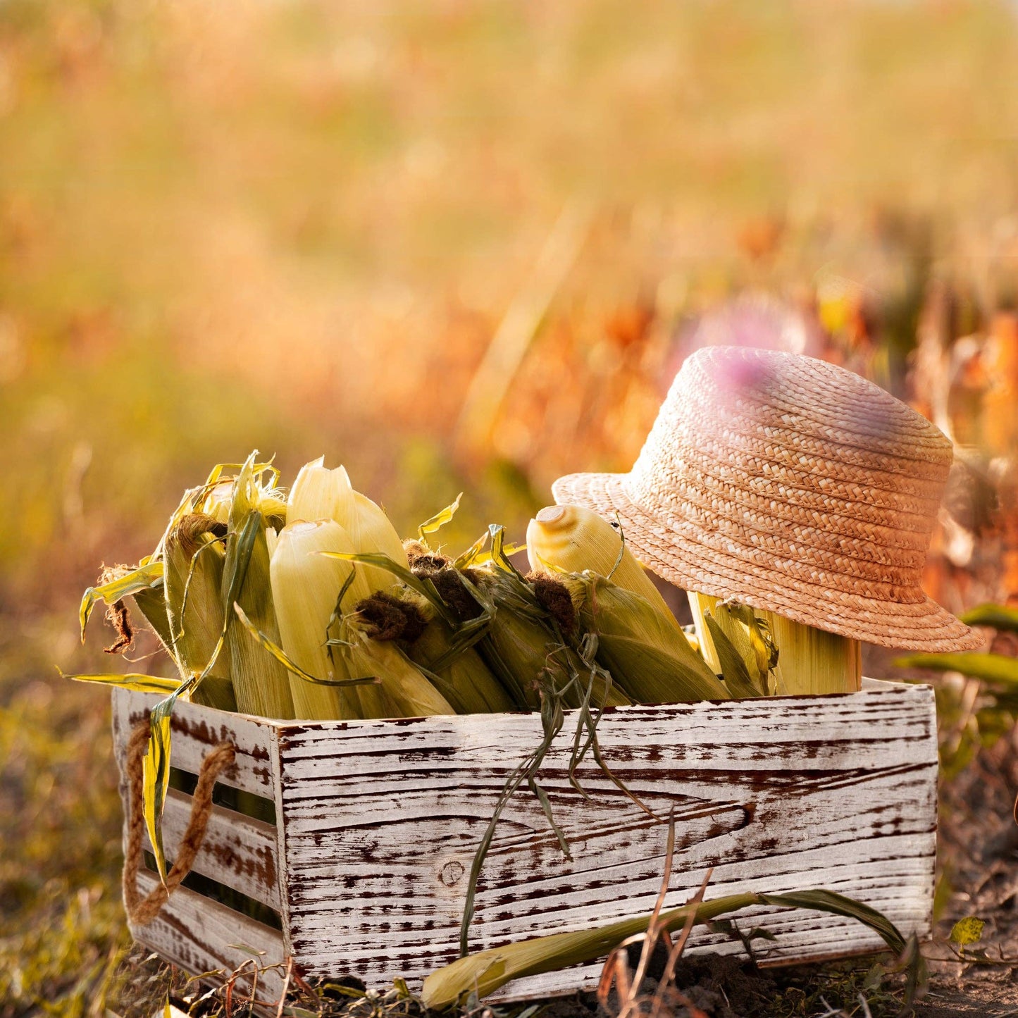 Decorative Crate- 3 piece set