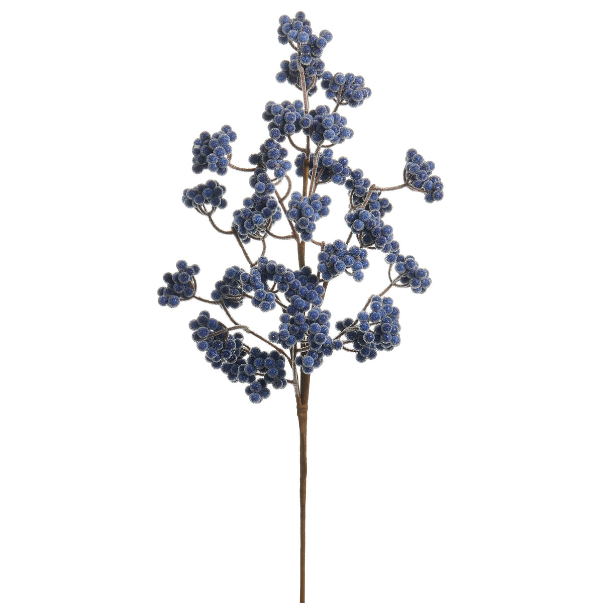 Blue Cluster Berry Spray, The photo shows a branching stem thick with clusters of small blue berries in a frosted, sugared finish.