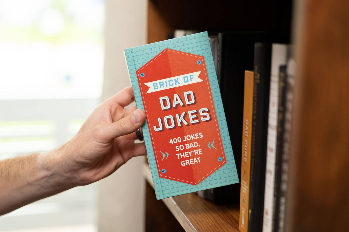 Brick of Dad Jokes