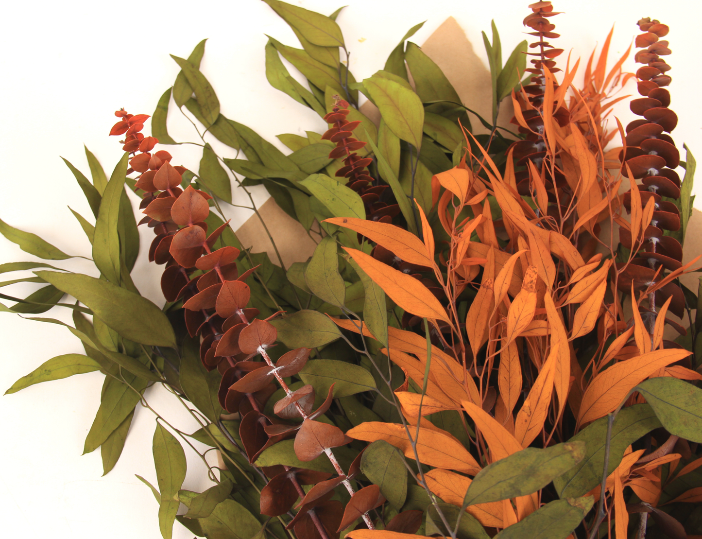 Autumn Eucalyptus Bundle - Olive