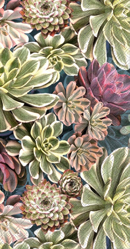 Paper Guest Towels 16 count Succulent