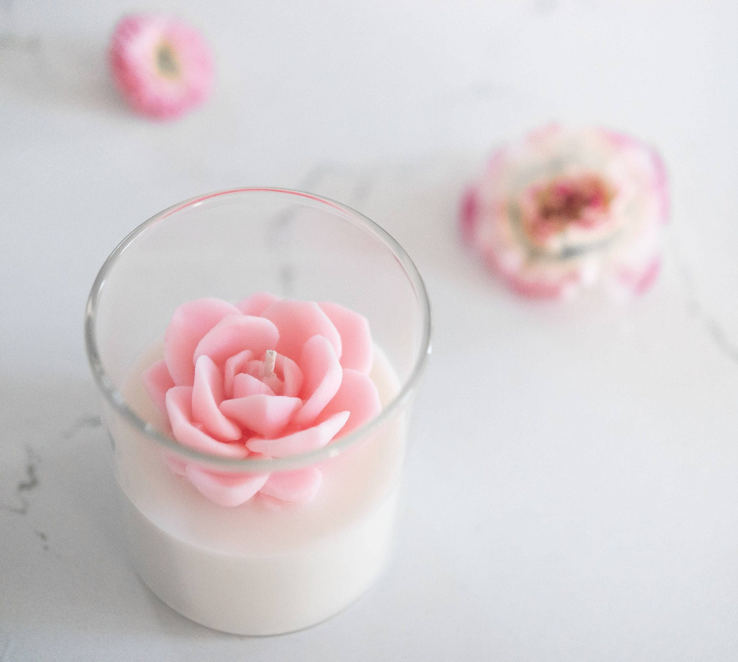 Succulent Soy Candle | Soy Blend