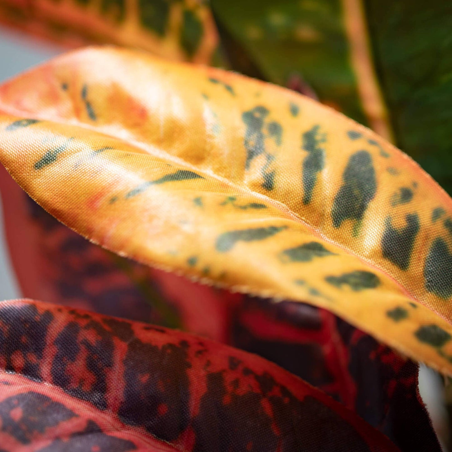 Leaf Stem, Croton Foliage 12.5"