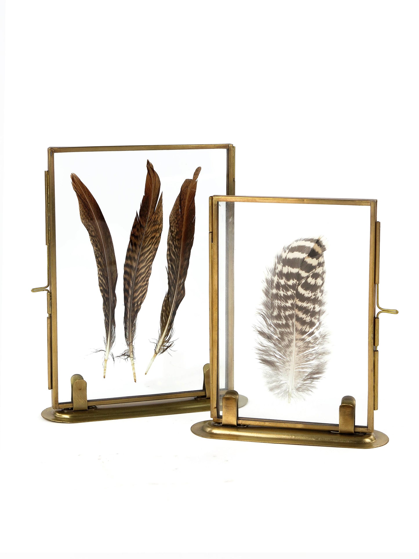 Brass Photo Frame in Stand 5x7"