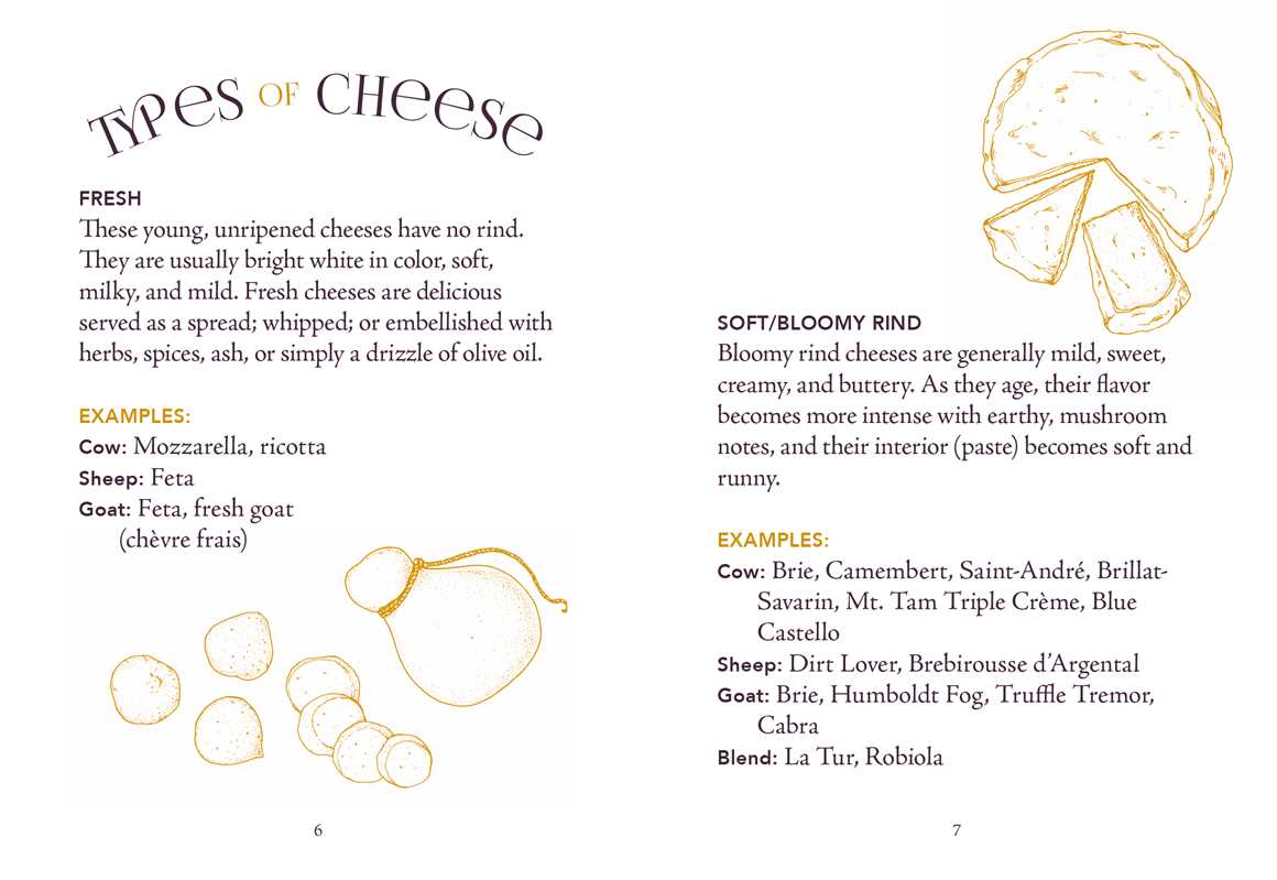 Little Book of Charcuterie and Cheese by Lynda Balslev