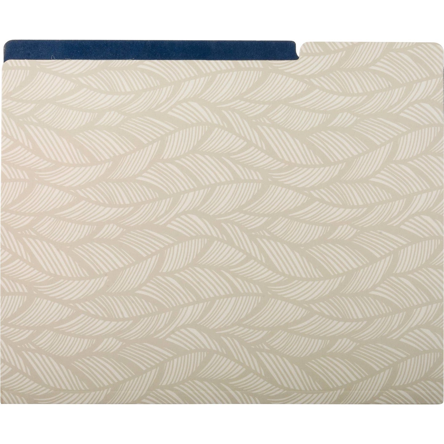 Brilliant File Folder Set 6