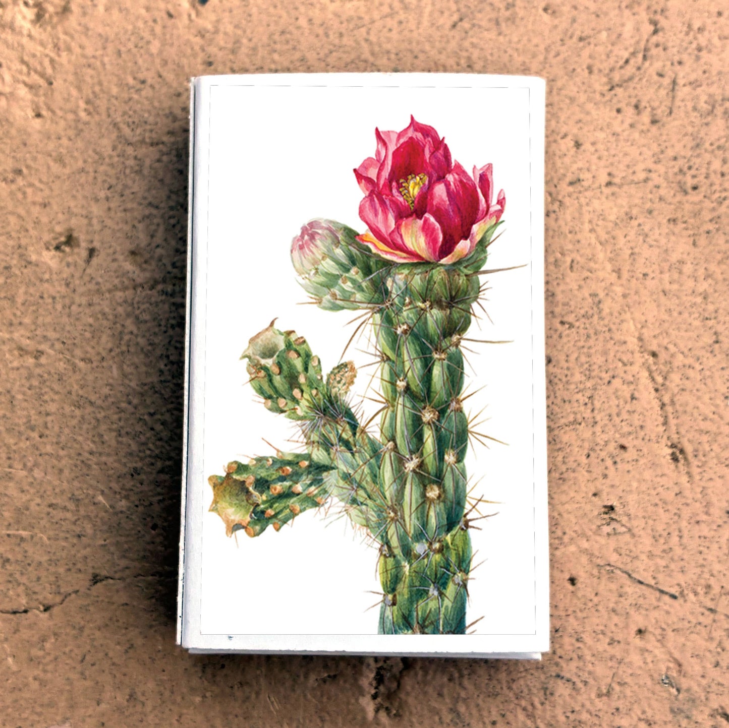 Matches • Walkingstick Cholla Cactus