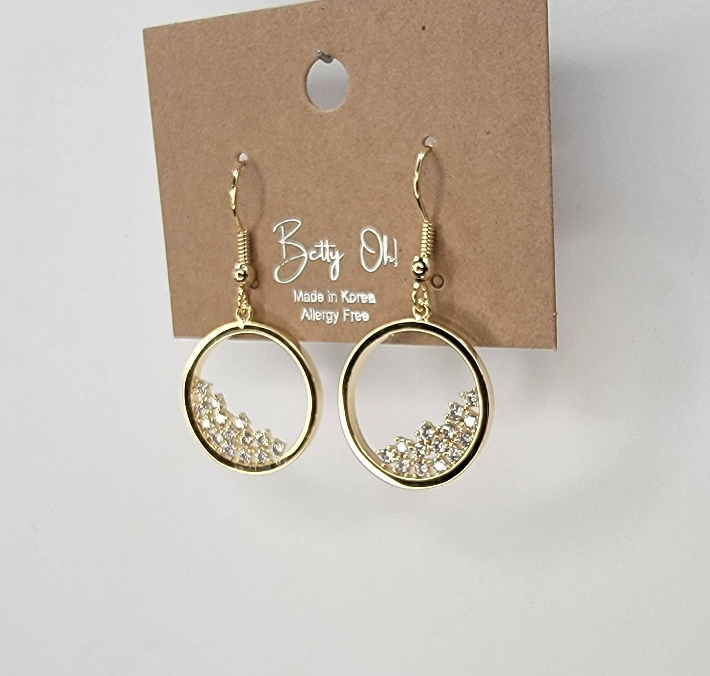 Circle Fill With Stones Hook Earring