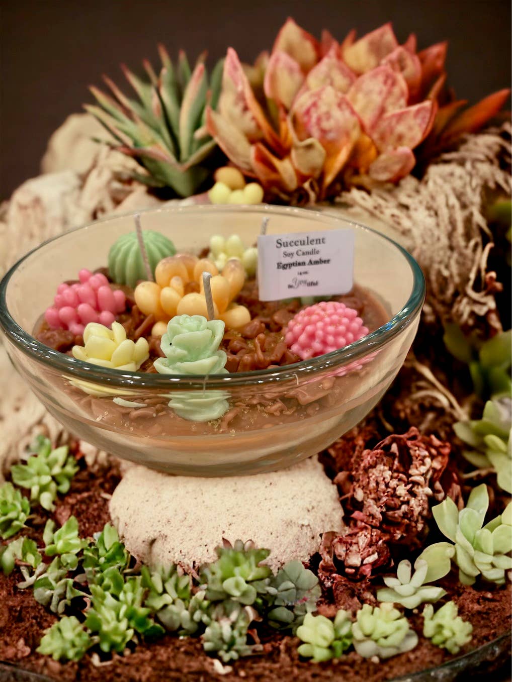 Succulent Candles