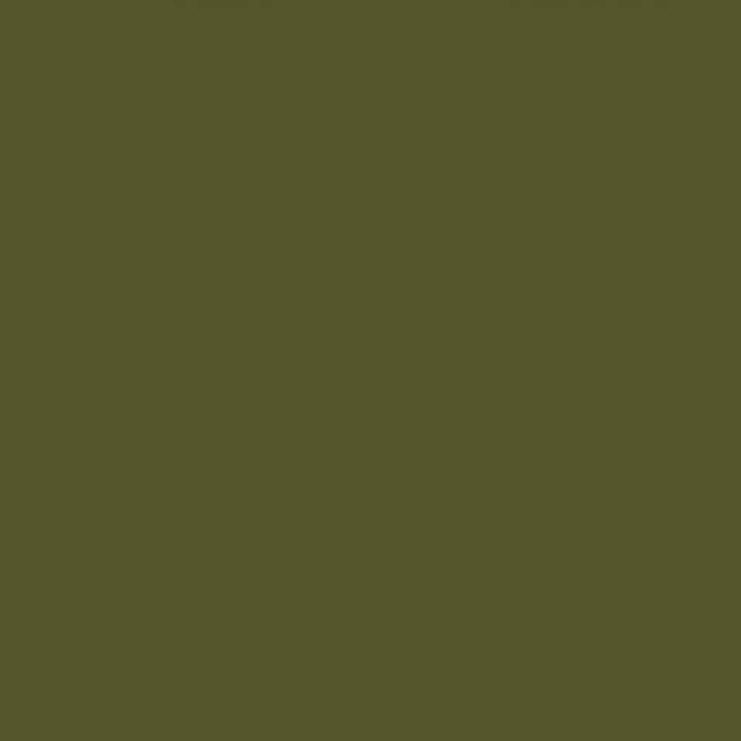 Taper Candle Set of 2, Olive 10"