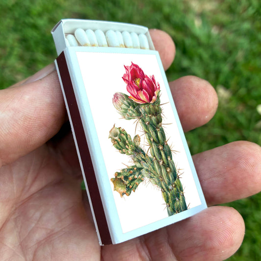 Matches • Walkingstick Cholla Cactus