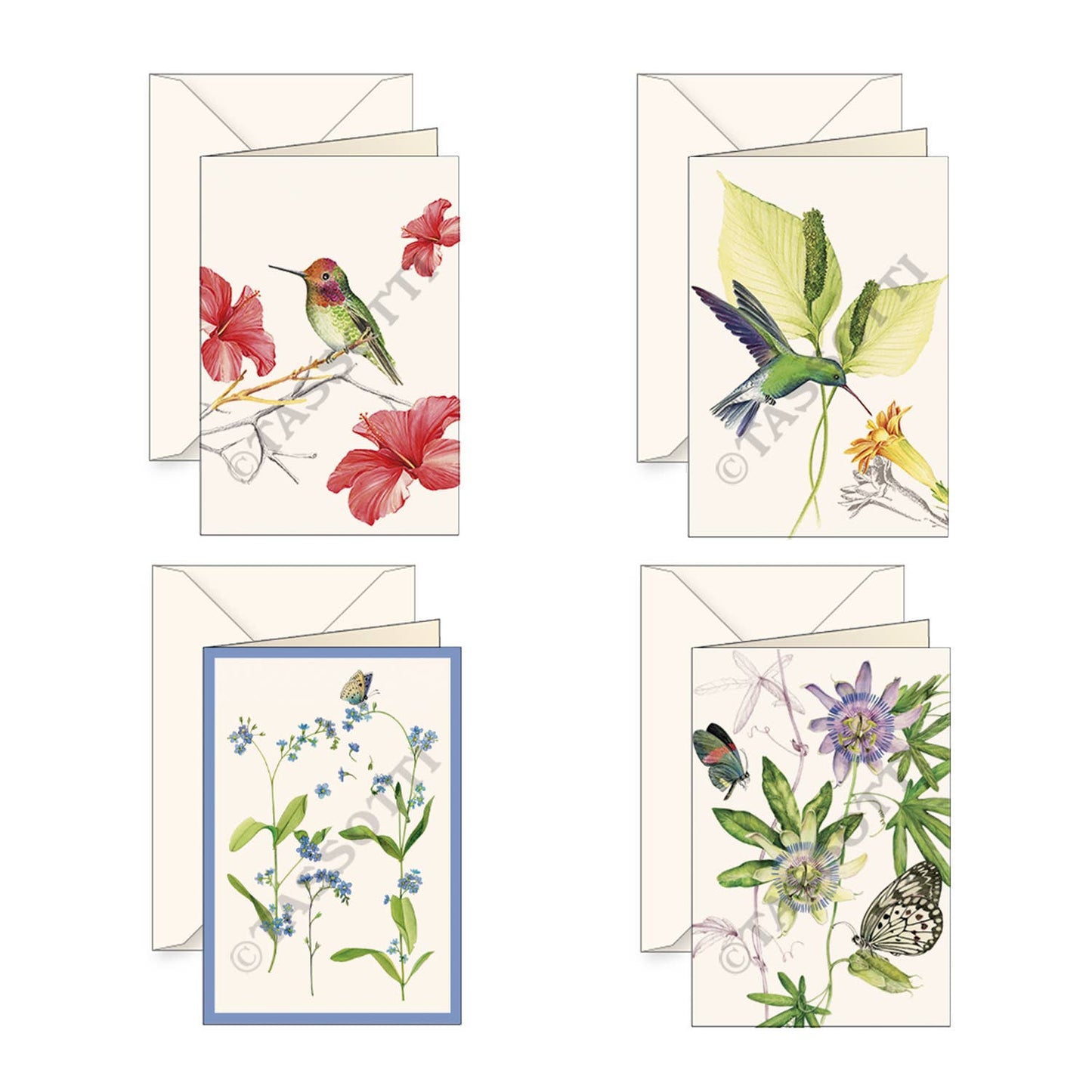 Italian 4X6" Note Card Set Assortment