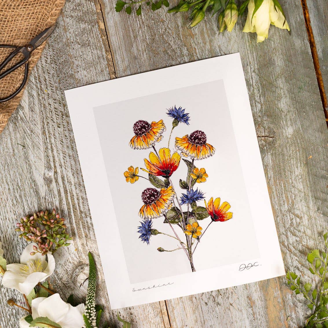 Toasted Crumpet - Sunshine 11X14" Fine Art Print