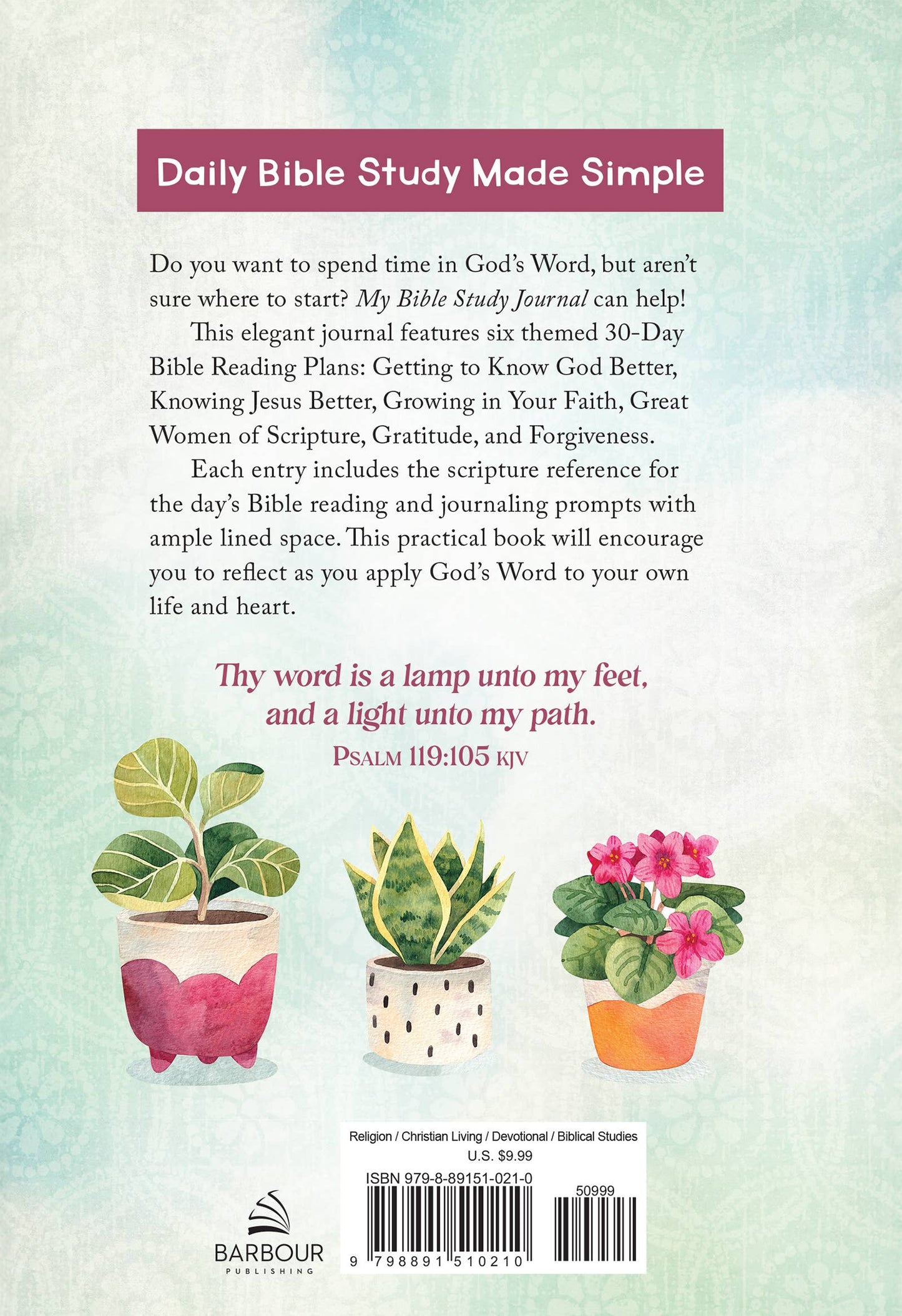 My Bible Study Journal : 180 Devotional Studies for Women