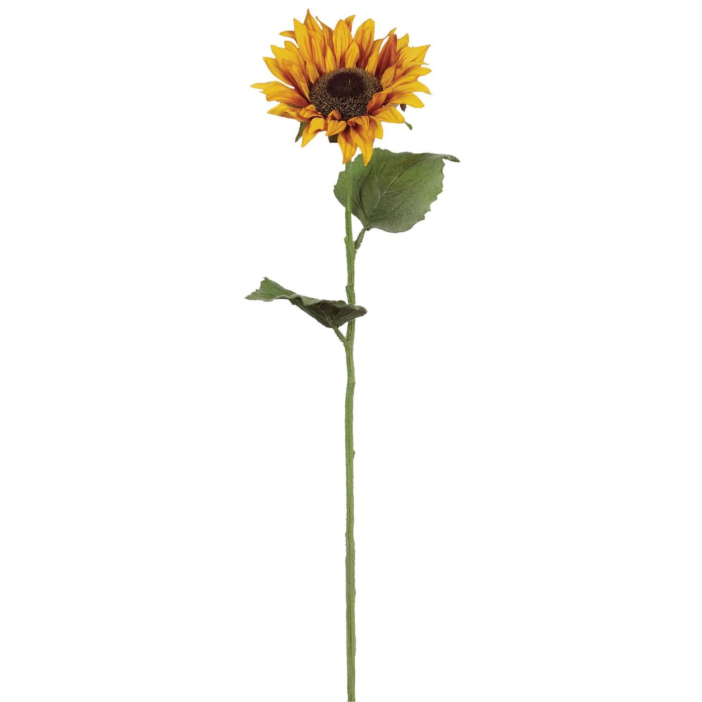 Sunflower Stem, 24"