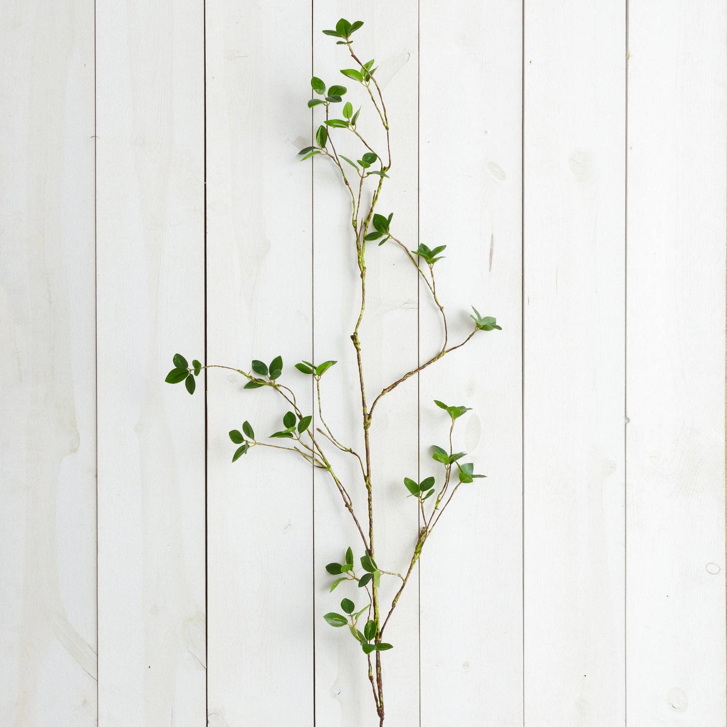 Branch - Lemon Leaf, 48"